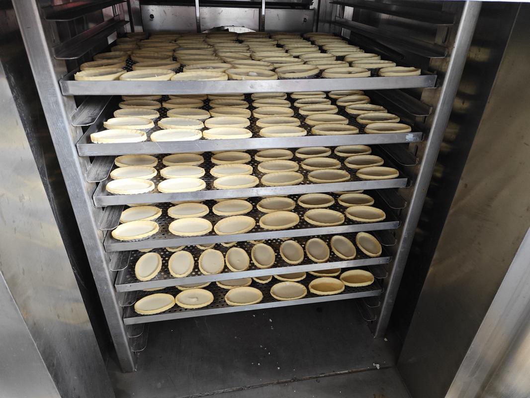 Customized Tray Shelf in Liquid Nitrogen Freezer Chamber