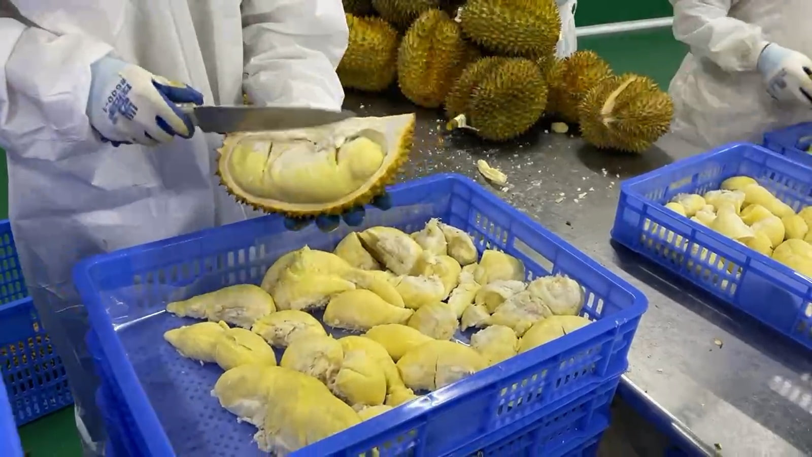 Durian Pulp Frozen 