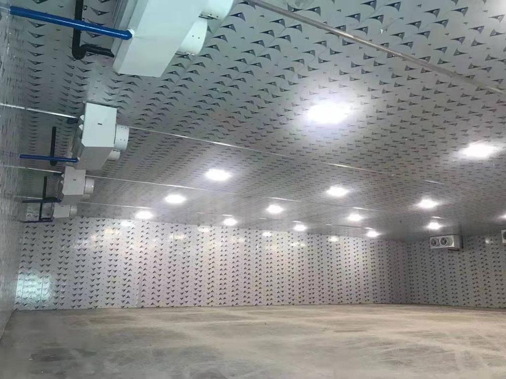 Interior of a big cold storage room