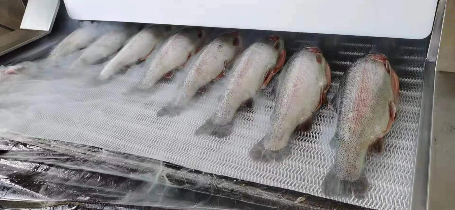 Salmon Quick Freezing by Liquid Nitrogen IQF Tunnel Freezer