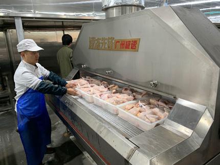 liquid nitrogen freezer frozen chicken