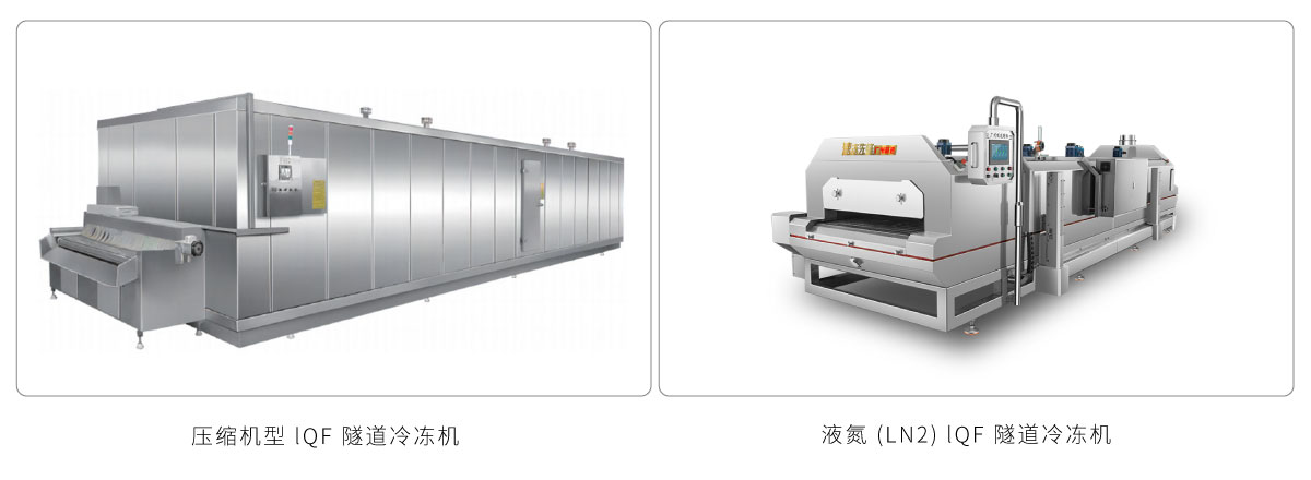 Compressor-Type IQF VS Liquid Nitrogen IQF Tunnel Freezer