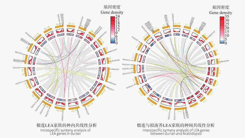 文章2-图2.jpg