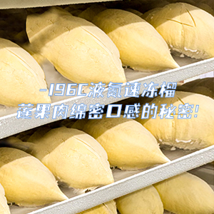 榴莲果肉速冻现场，带你看看锁鲜全过程!
